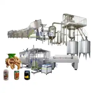 Natural Tamarind Juice Processing Machine