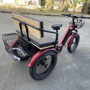 Tricycle de passager haut de gamme 750w deux places avec panier <span class=keywords><strong>vélo</strong></span> électrique à 3 roues/<span class=keywords><strong>vélo</strong></span> <span class=keywords><strong>cargo</strong></span> <span class=keywords><strong>longtail</strong></span> électrique - Product Image 2