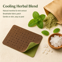 Patch antidouleur à base de plantes au menthol pour le soutien lombaire, soulagement durable de la douleur pendant 8 heures, durée de conservation de 3 ans, vente en gros sous marque privée