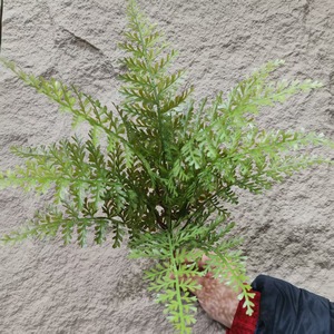 Impianto artificiale di simulazione della parete di plastica verde erba fascio di asparagi felce Jim FernButterfly felce per arbusti foglie di plastica - Product Image 2
