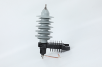 Parafoudre extérieur sans interstice TANHO YH10W-15 15KV à oxyde de zinc avec boîtier en polymère de caoutchouc silicone pour haute tension