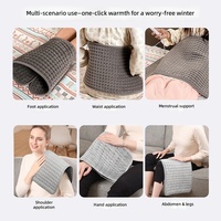 Coussin chauffant électrique en stock pour l'hiver, coussin de massage épaissi pour le soulagement des douleurs abdominales, lombaires et dorsales
