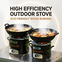 Poêle à charbon moderne autoportant en acier inoxydable, cuisinière extérieure à bois pour le camping