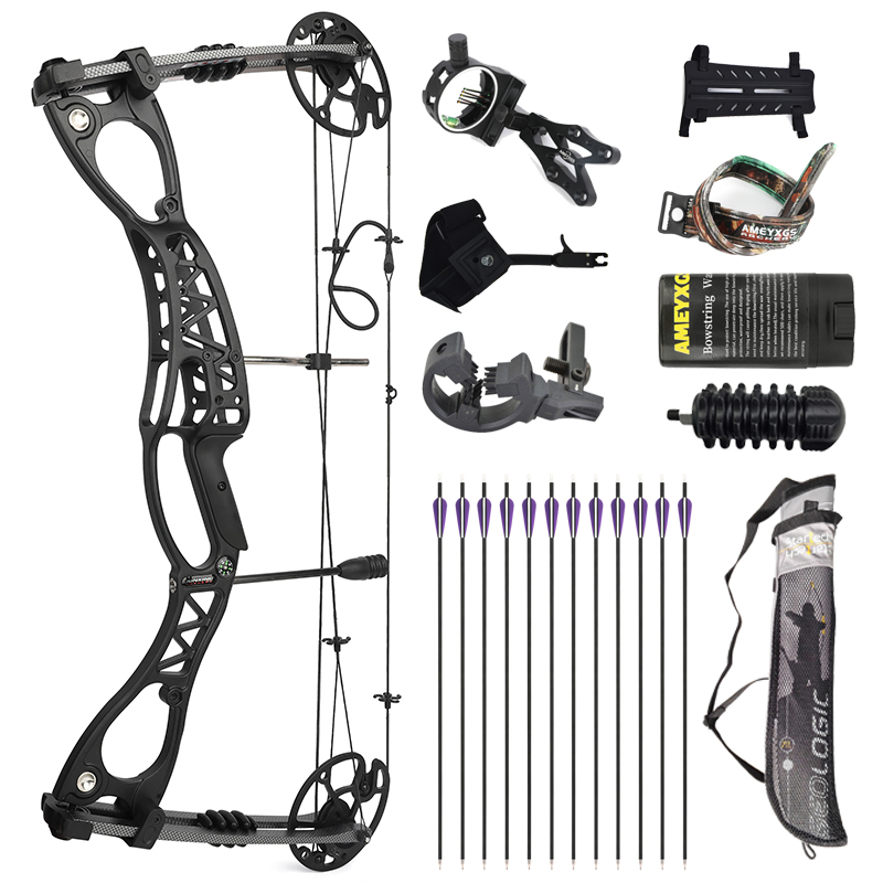 Spine 500 Flèche pour 40 LB Arc Recurve 30 Pouces Flèche Flèches Carbone Flèche Cible Flèche de Chasse Adulte Jeunesse Tir à l'Arc Entraînement 12pcs
