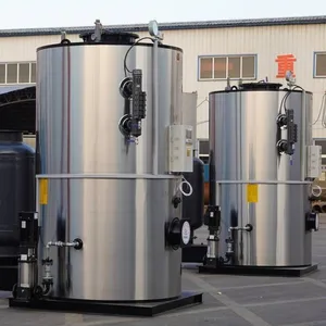Custom Design Boilers 1000kg One Hour Central Heating System Hot Water Boiler For Bathing