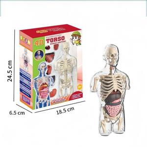 Modelo de Órganos Humanos Educativo para Niños, Juguete de Ciencia y Tecnología, Ensamblaje DIY, Cognición Temprana, STEAM, Juguete Médico Interno - Product Image 1