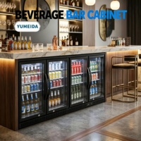 Refrigerador Comercial de Alto Rendimiento con Barra Trasera y Puerta de Vidrio con Iluminación LED para Bebidas en Pubs y Restaurantes
