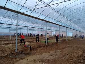 Invernadero Solar Pequeño con Aislamiento Térmico, Estructura <span class=keywords><strong>de</strong></span> Invernadero <span class=keywords><strong>de</strong></span> Energía Pasiva, Material PE, Invernadero Solar Pasivo - Product Image 4