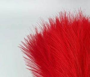 Suministros de Jardinería, Decoración Artificial, Plumas, Hierba de Pampas, Flores Secas, Alambres con Púas, Planta Artificial, Tela de Poliéster - Product Image 3