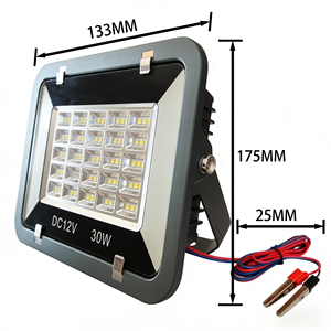 ไฟส่องสว่างแบบเหนี่ยวนำสำหรับภายนอกอาคาร กำลังไฟต่ำ 30w DC12v แบบพกพา กันน้ำ IP65 พร้อมสายทองแดง วัสดุ ABS สำหรับสวน ขายส่ง - Product Image 3