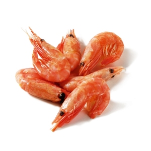 Crevettes d'eau froide cuites pelées congelées prêtes à manger exportation de fruits de mer crustacés de petite taille fournisseur d'aliments surgelés en vrac - Product Image 6