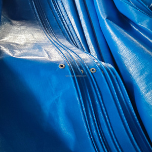 Lona de Polietileno Doble Laminada Resistente a Desgarros e Impermeable <span class=keywords><strong>para</strong></span> Cubiertas Industriales - Product Image 5