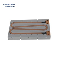Système de refroidissement liquide personnalisé de haute qualité en aluminium et cuivre pour processeur – Solution technologique d'énergie thermique