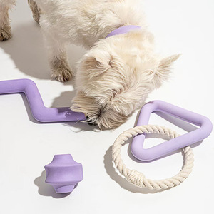 <span class=keywords><strong>Jouet</strong></span> à mâcher pour chien en caoutchouc dégradable et résistant aux déchirures en forme de <span class=keywords><strong>cactus</strong></span>, fournitures pour animaux de compagnie en gros - Product Image 2