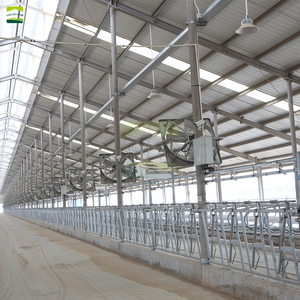 Proyecto Llave en Mano para Granja Lechera de 2000 Cabezas, Salas de Ordeño Automáticas en Espiga, Equipo para Establos <span class=keywords><strong>Holstein</strong></span>, Granja Excelente - Product Image 6