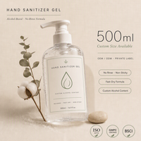 Gel désinfectant pour les mains 500 ml, flacon pompe, alcool antibactérien, lavage sans eau, pour la maison, le bureau, l'hôtel, vente en gros