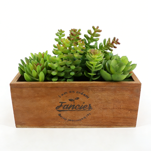 Mini Succulente Artificielle avec Texture Réaliste, Boîte en Bois, Plante Succulente Artificielle en Pot, Végétation Décorative en Pot pour la Décoration de la Chambre - Product Image 1