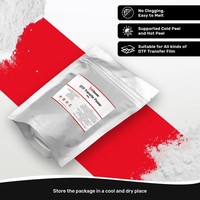 Kit de nettoyage et de protection d'encre CMKYW InkSonic pour imprimante DTF Xp600 8550, encre DTF, entrepôt américain