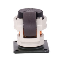 Roulettes de nivellement 60F Footmaster, capacité de charge 250kg-500kg, lot de quatre, en nylon, support OEM & ODM, pour usine