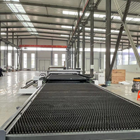 Machine de découpe laser à fibre CNC 6020 pour tôles et tubes avec dispositif rotatif, machine de découpe laser à fibre économique pour ateliers métallurgiques