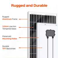 Petit panneau solaire monocristallin 50W 12V 18V avec face en verre, module photovoltaïque solaire personnalisé pour éclairage public