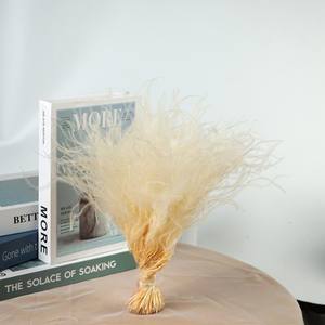 Herbe à plumes Stipa Tenuis naturelle séchée, nouvelle récolte, couleur vert faible saturation, protection de l'environnement, pour la décoration de la maison et les cérémonies de remise de diplômes - Product Image 5