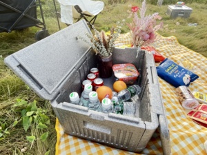 Venta al por mayor plegable ligero 40L aislamiento EPP espuma Chill Cooler Box con patrón de rayas térmico para almacenamiento de alimentos - Product Image 2
