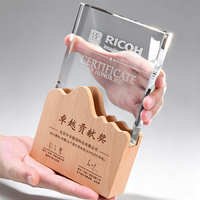 Trophée en bois et cristal personnalisable avec gravure, plaque de reconnaissance professionnelle pour récompense des employés, célébration d'entreprise et cadeau
