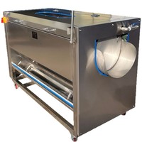 Automatische groentewas- en schilmachine voor wortels, cassave en fruit - Hoge efficiëntie, voedselveilige roestvrij staal