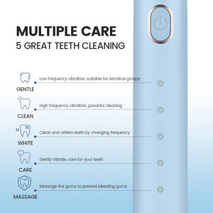 מכירת הטוב ביותר ביצועים גבוהים מחיר אוראלי טיפול אוראלי חשמלי מברשת שיניים - Product Image 6