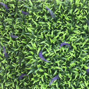 Système de panneaux de mur végétal artificiel vertical pour <span class=keywords><strong>la</strong></span> décoration moderne de <span class=keywords><strong>la</strong></span> maison - Product Image 1