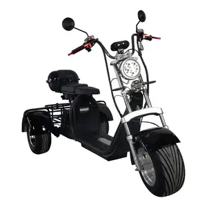 الدراجة النارية الكهربائية Citycoco جاهزة في المخزون الأمريكي ثلاثية العجلات مع بطارية مزدوجة 20 أمبير في الساعة بخاصيات ذكية رقمية للعبة جولف