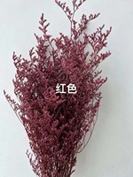 Limonium Stabilisé (Herbe de la Saint-Valentin) Fleur 60-70cm Yunnan pour Arrangements Floraux d'Anniversaire & Décoration Intérieure