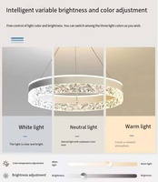 Lustre LED Moderne de Luxe en Aluminium avec Abat-jour Long en Acrylique, Hauteur Réglable, Intensité Variable, Protection Oculaire, Haute Luminosité pour Maison et Bureau