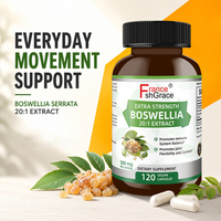 Nouveauté Shecome Boswellia 20:1 Extrait 120 Capsules Soutient la Fonction Immunitaire pour Femmes Extraits Végétaux Capsules de Boswellia