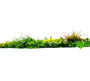 <span class=keywords><strong>Valla</strong></span> de privacidad para plantas artificiales, paneles de vegetación artificiales, plantas de imitación, follaje <span class=keywords><strong>artificial</strong></span> - Product Image 5