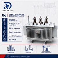 Transformador de Distribución Trifásico DERUI 11KV SHB15 de Aleación Amorfa Sumergido en Aceite, Baja Pérdida en Vacío, 30 a 2500KVA, 220V 380V