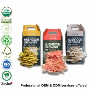 Kit de herramientas de jardín portátil para exteriores de Tres <span class=keywords><strong>Mosqueteros</strong></span> con rodillero de setas de ostra, regalo de inicio para cultivar setas - Product Image 2