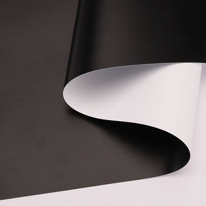 Tissu d'écran de projecteur de Film de Projection Home cinéma blanc-noir de 0.25mm - Product Image 6