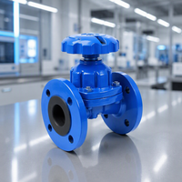 Vanne à membrane manuelle hydraulique en fonte avec doublure en ébonite et diaphragme EPDM Application générale pour les médias de base