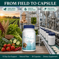 Capsules Détox Nettoyage Intestinal 15 Jours Marque Blanche Soutien Digestif et du Côlon Complément Alimentaire OEM ODM pour Adultes