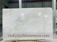 Luxuriöse Transparente Nambia Bianco Rhino Weiße Jade Marmor Wand- und Bodenfliesen Platten für Inneneinrichtung Königlicher Weißer Onyx-Marmor