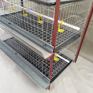2020 Venta caliente automático sistema <span class=keywords><strong>de</strong></span> agua potable aves <span class=keywords><strong>de</strong></span> <span class=keywords><strong>corral</strong></span> <span class=keywords><strong>de</strong></span> engorde jaula <span class=keywords><strong>de</strong></span> pollo - Product Image 5