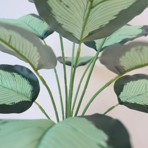 <span class=keywords><strong>Petit</strong></span> <span class=keywords><strong>Bananier</strong></span> Artificiel - Faux <span class=keywords><strong>Bananier</strong></span> du Voyageur avec de Grandes Feuilles pour la Décoration Intérieure - Product Image 6