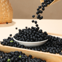 Meilleure vente Haricots noirs de qualité supérieure Graines de soja noir de Chine à vendre