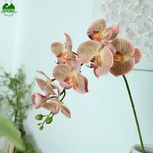 Oem Real Touch Orchid Flower Phalaenopsis Orchid Plants Stem Orchid Latex Real Touch
