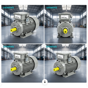 มอเตอร์แท้ Innomotics รุ่น 230/380/660V มอเตอร์เหนี่ยวนำ 30kw 37kw 55kw 75kw 90kw B3 B5 B35 - Product Image 5