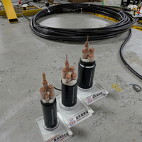 Cable de Baja Tensión JDH ZB-YJV de 2.5 mm² con Conductor de Cobre Retardante de Llama, Aislamiento XLPE y Cubierta de PVC, 0.6/1kV, para Uso Subterráneo