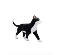 Ressources pédagogiques scientifiques médicales et biologiques pour enfants, jouets éducatifs, modèle anatomique de chat, matériel scolaire CE/ISO