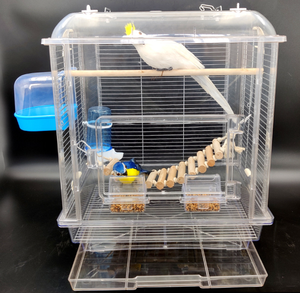 Vente en gros de <span class=keywords><strong>cage</strong></span> de voyage transparente pour oiseaux, maison en plastique acrylique pour animaux de compagnie avec fermeture à bouton-pression et plateau pour hamsters et oiseaux - Product Image 5